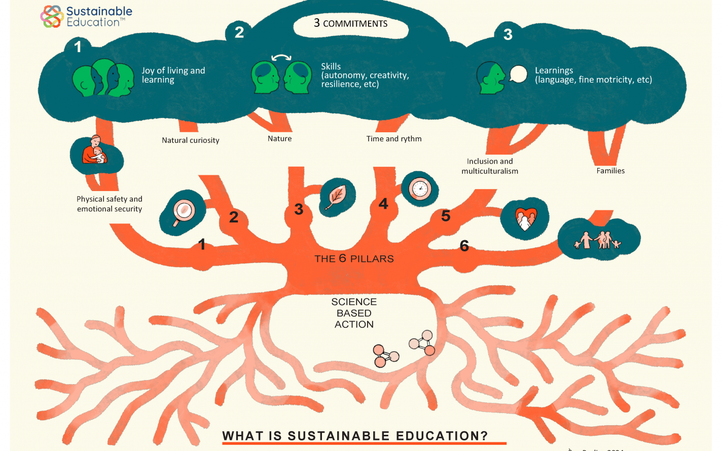 L'arbre de l'éducation durable 1