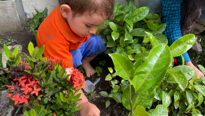 nature & kid